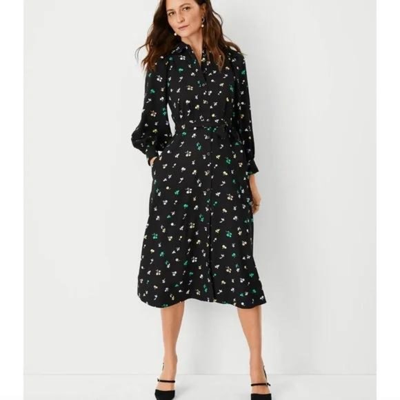 Ann Taylor Dresses & Skirts - Ann Taylor Floral Belted Shirtdress New